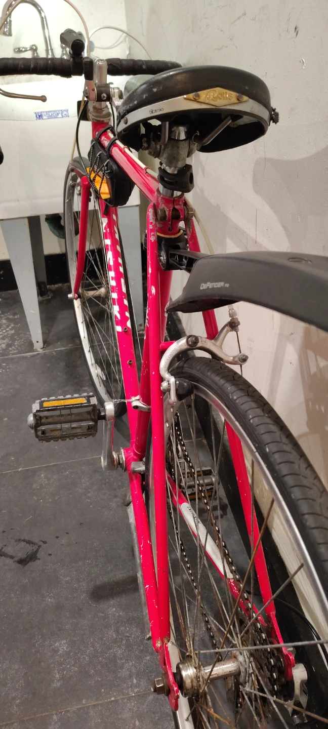 Nishiki Road Bike