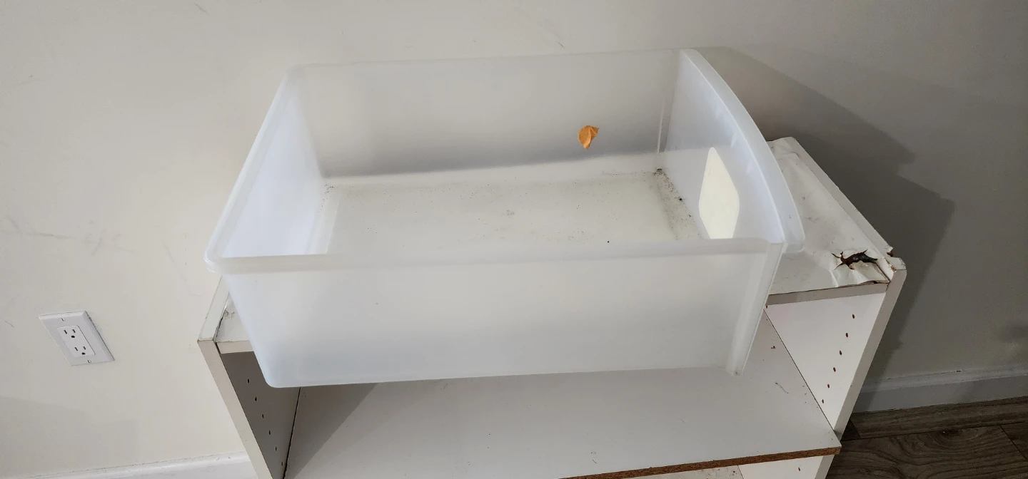 Sterilite ClearView 29 Qt Storage Bin - photo 2