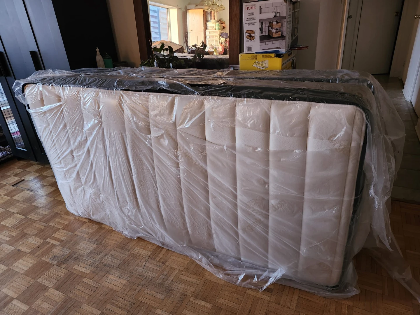 Sealy Mattress + box spring