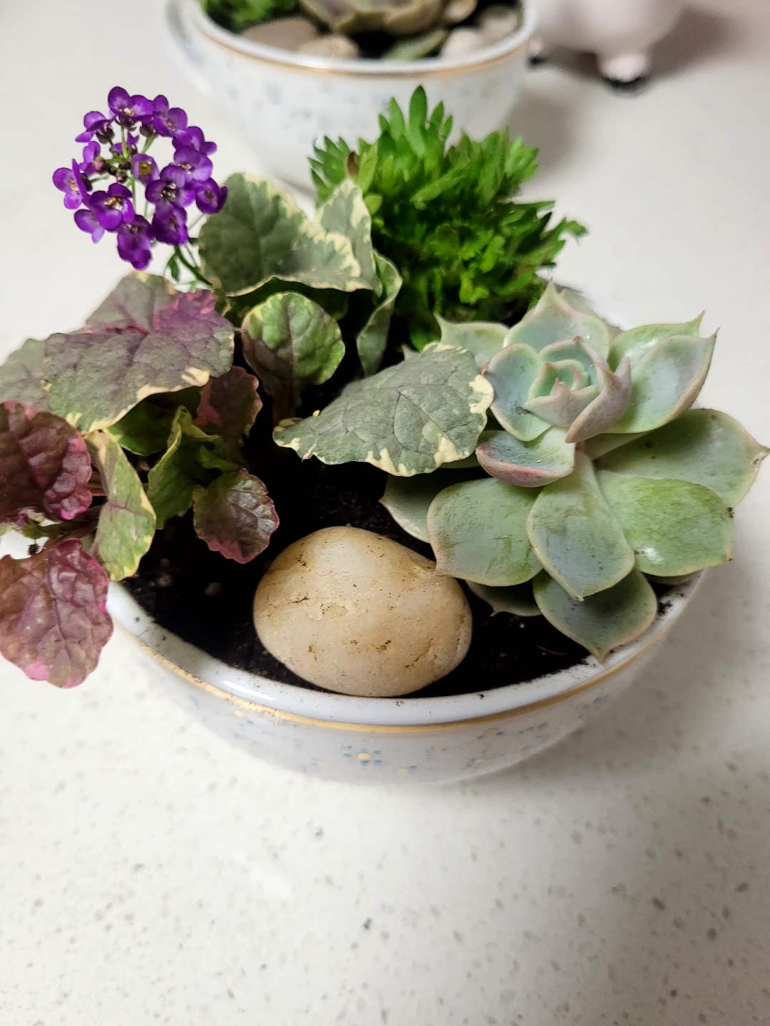 Assorted Succulent and Flowering Plant Terrarium - photo 3