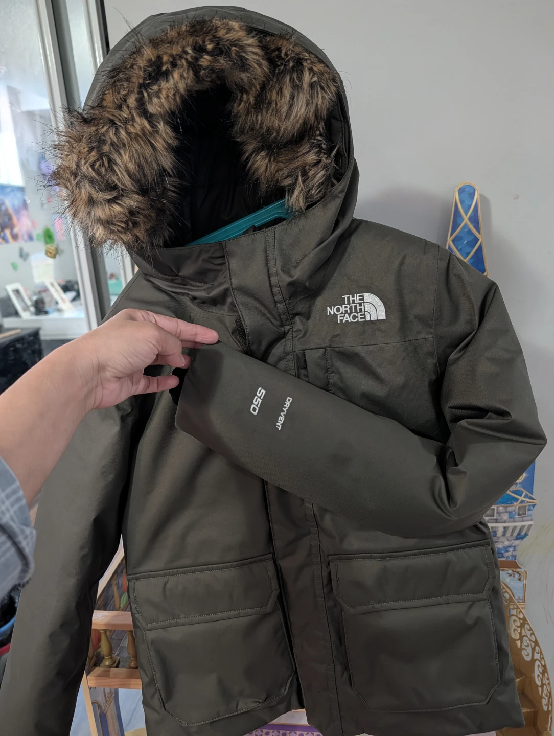 The North Face 550 DryVent Winter Parka