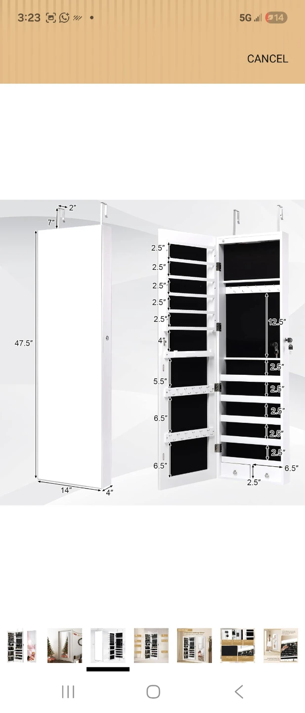 Door Mounted Jewelry Organizer with Full Length Mirror