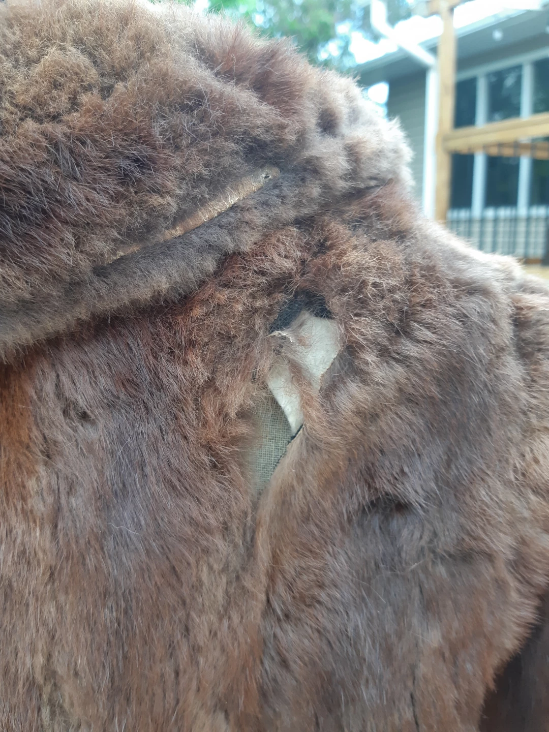vintage E. Shipley Birrell Furs Authentic fur coat - photo 5