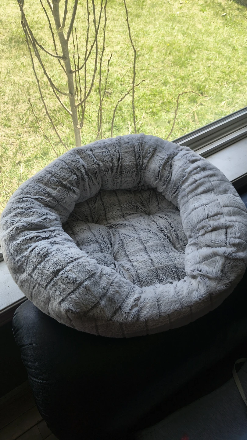 Pet Carrier Bag - Pettrip & Cat/Dog Bed - photo 3