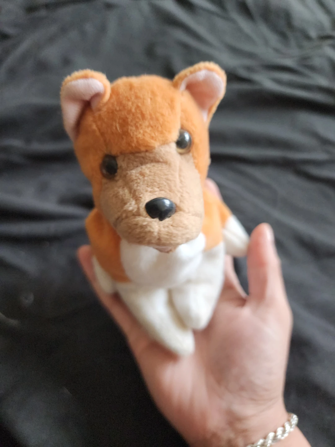 Plush Dog Toy