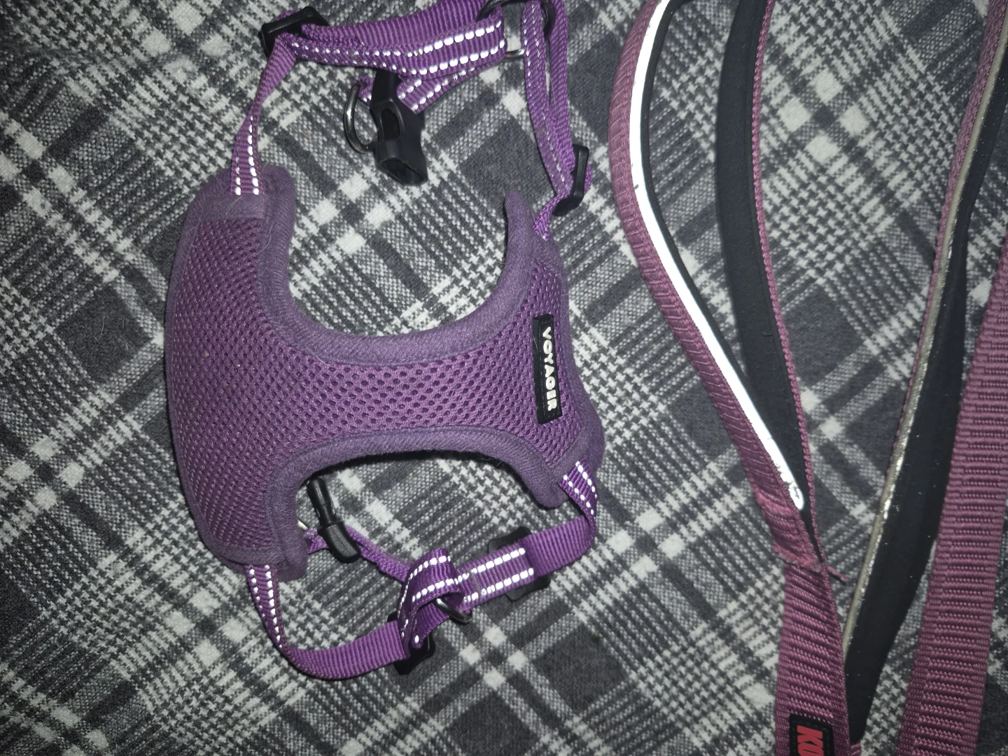 Pet supplies (Dog & Cats) - photo 2