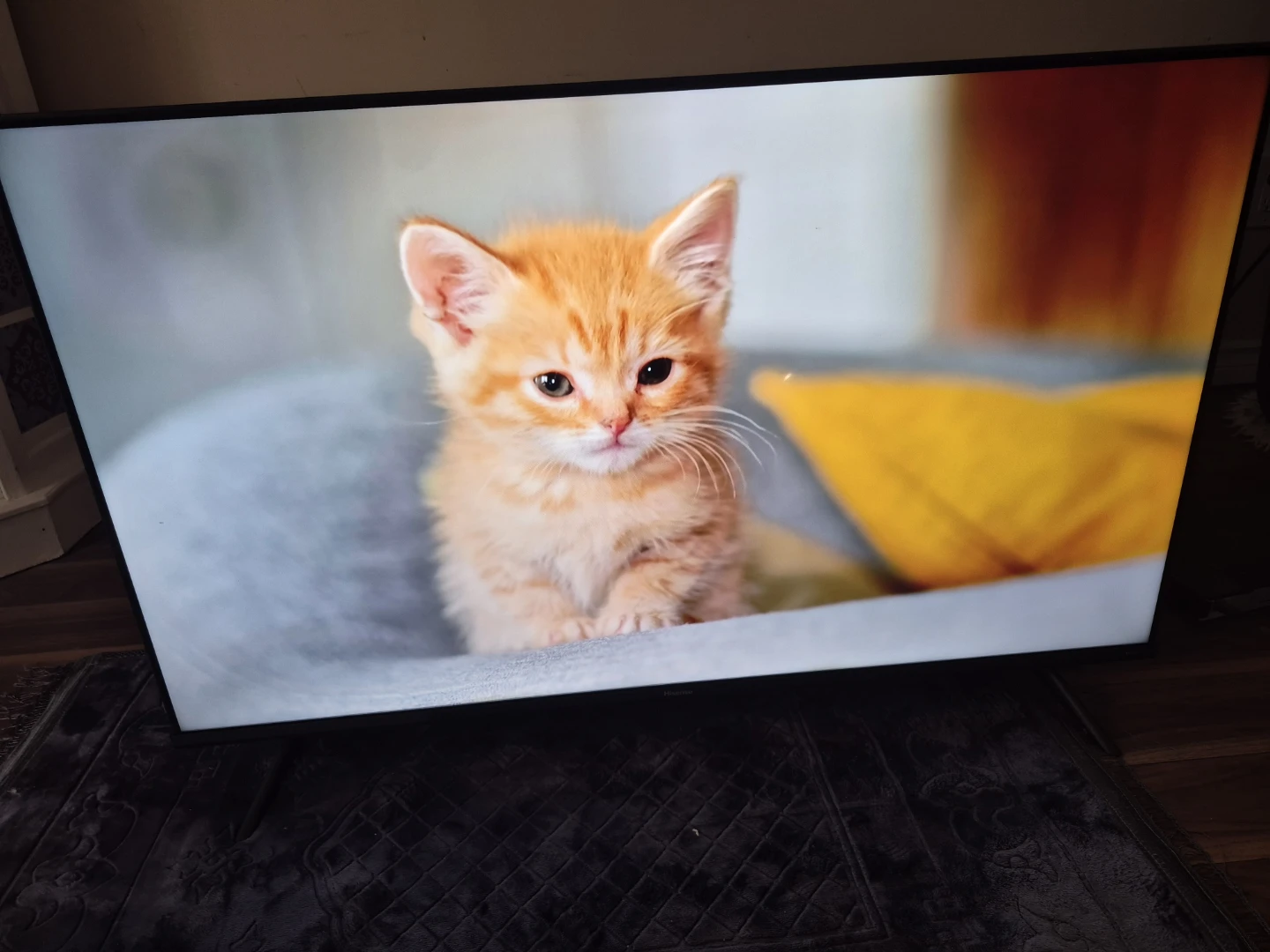 Hisense Google TV 43" 4k smart - photo 5