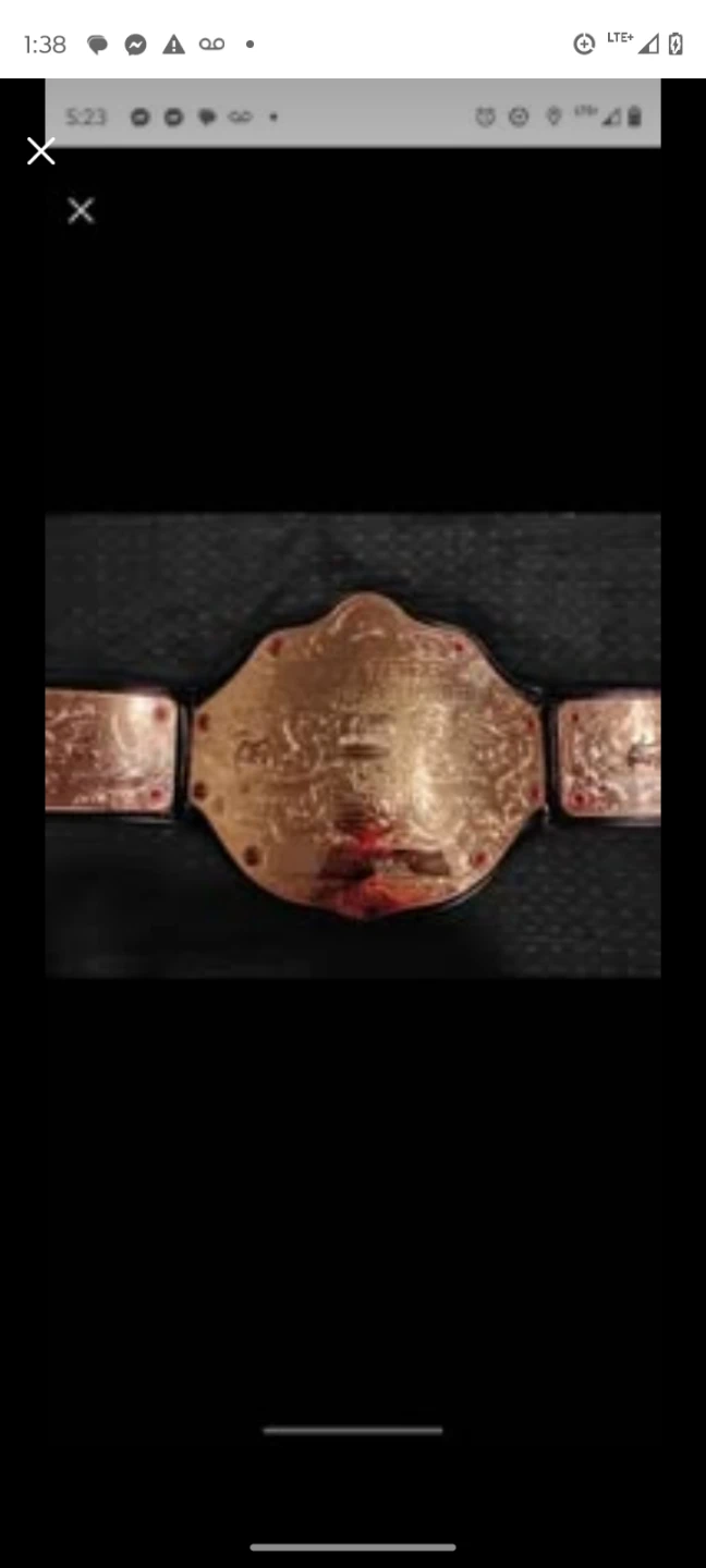 Championship Belt Replica - photo 2