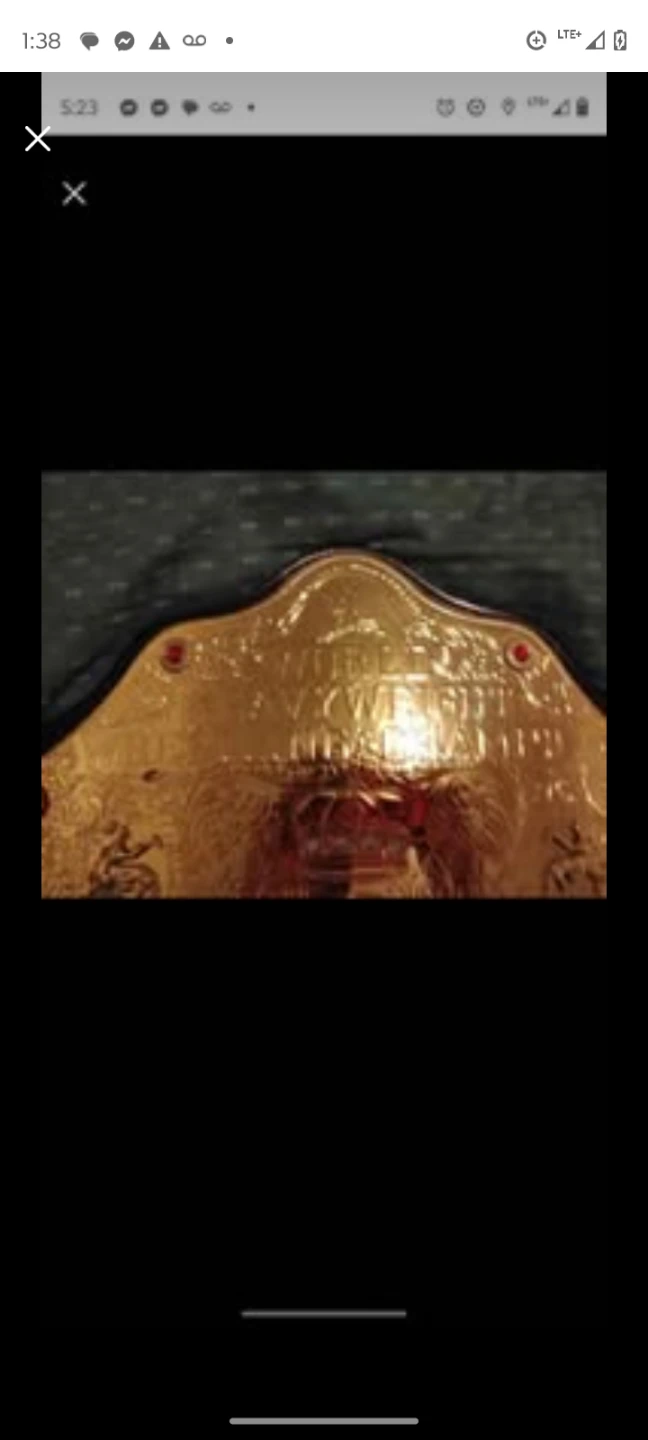 Championship Belt Replica - photo 3