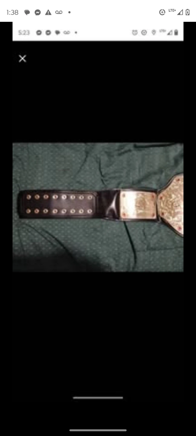 Championship Belt Replica - photo 4