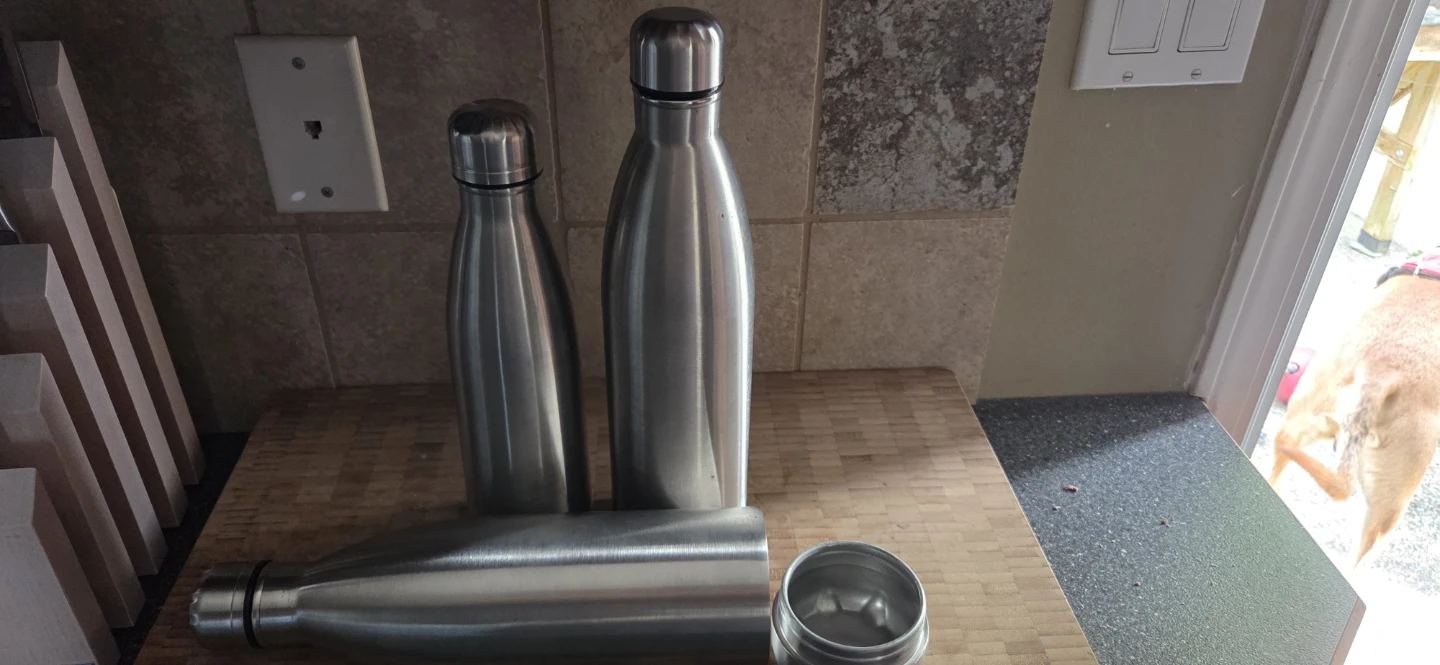 Stainless Steel Water Bottles (Set of 3)