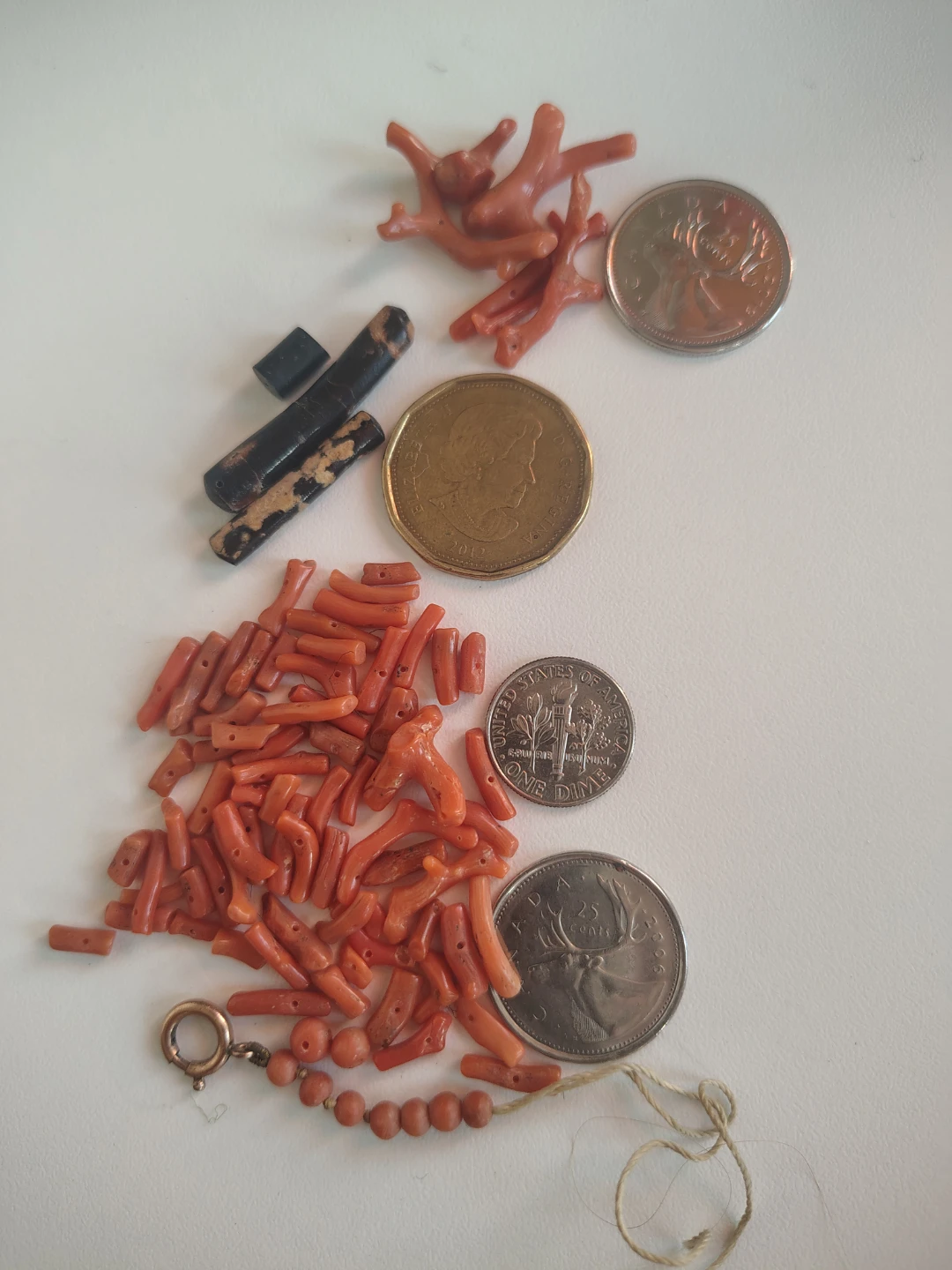 Bag of Genuine & Vintage Branch Coral 🪸 Rare - photo 5