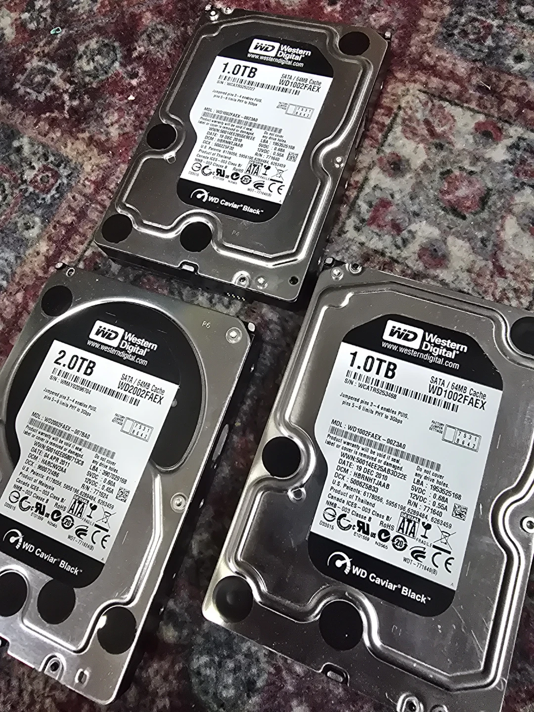 Western Digital WD Caviar Black Hard Drives