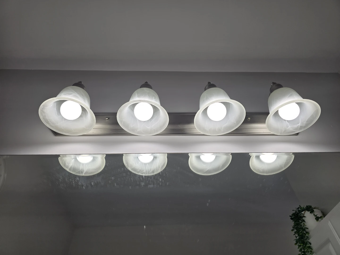 Light vanity fixture