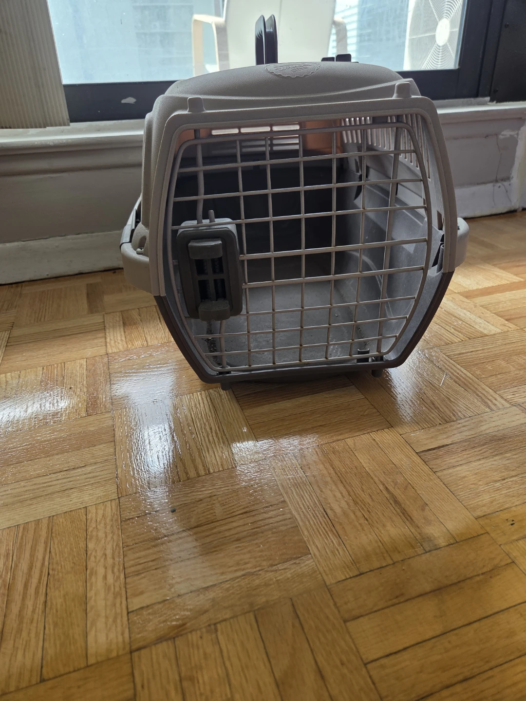 Whisker City 2-Door Pet Carrier