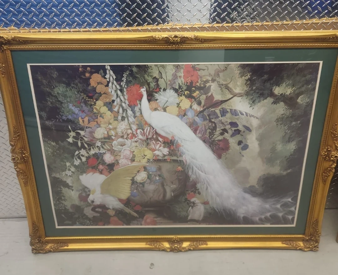 Framed Peacock and Birds Art Print Picture