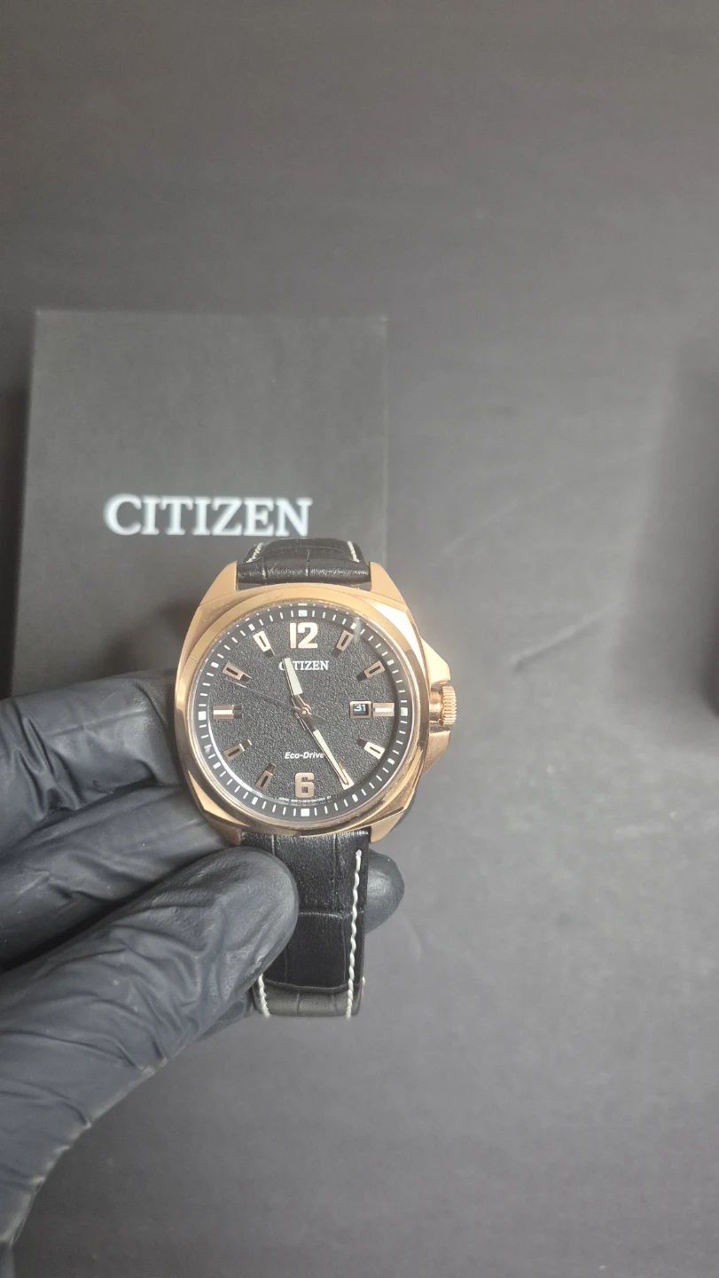 Citizen Endicott - photo 3