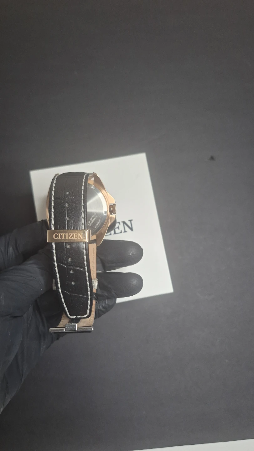 Citizen Endicott - photo 4