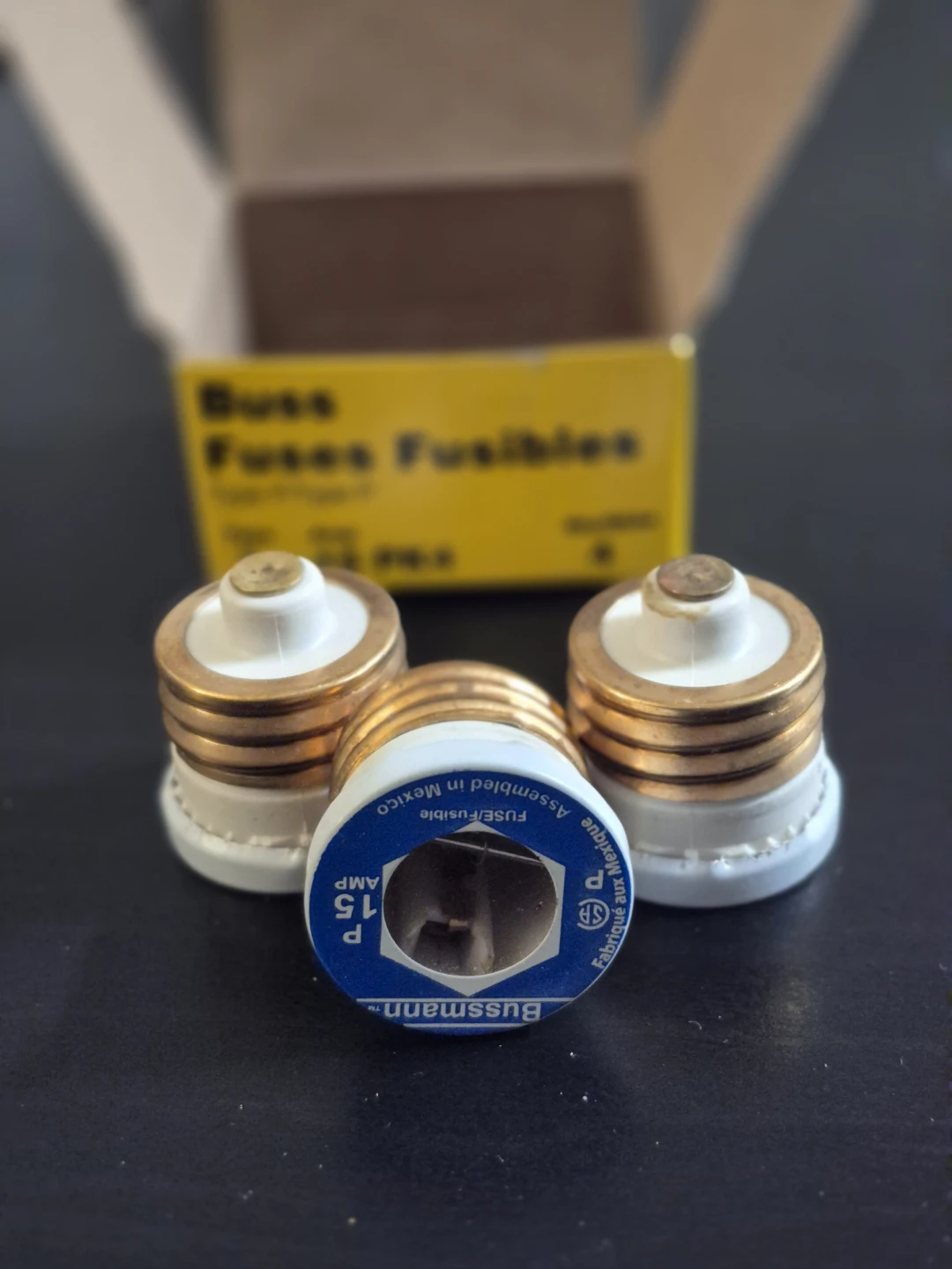 Bussmann P 15 Amp Type P Fuses (4 Count) - photo 3