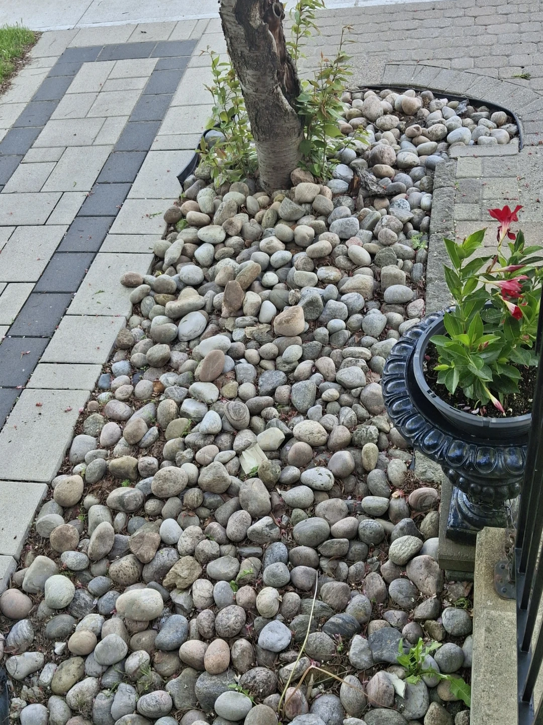 Mixed River Rocks