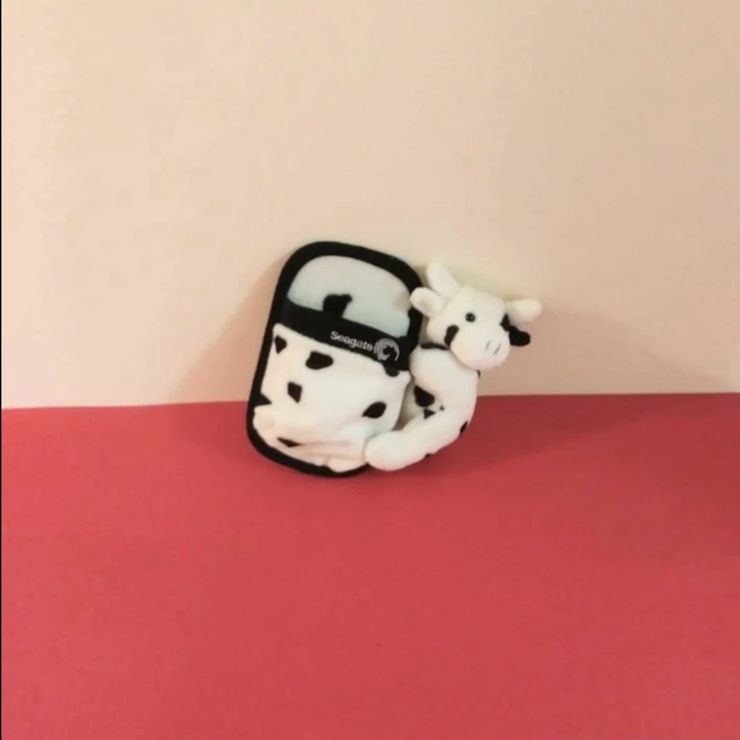 Computer Mouse Holder
