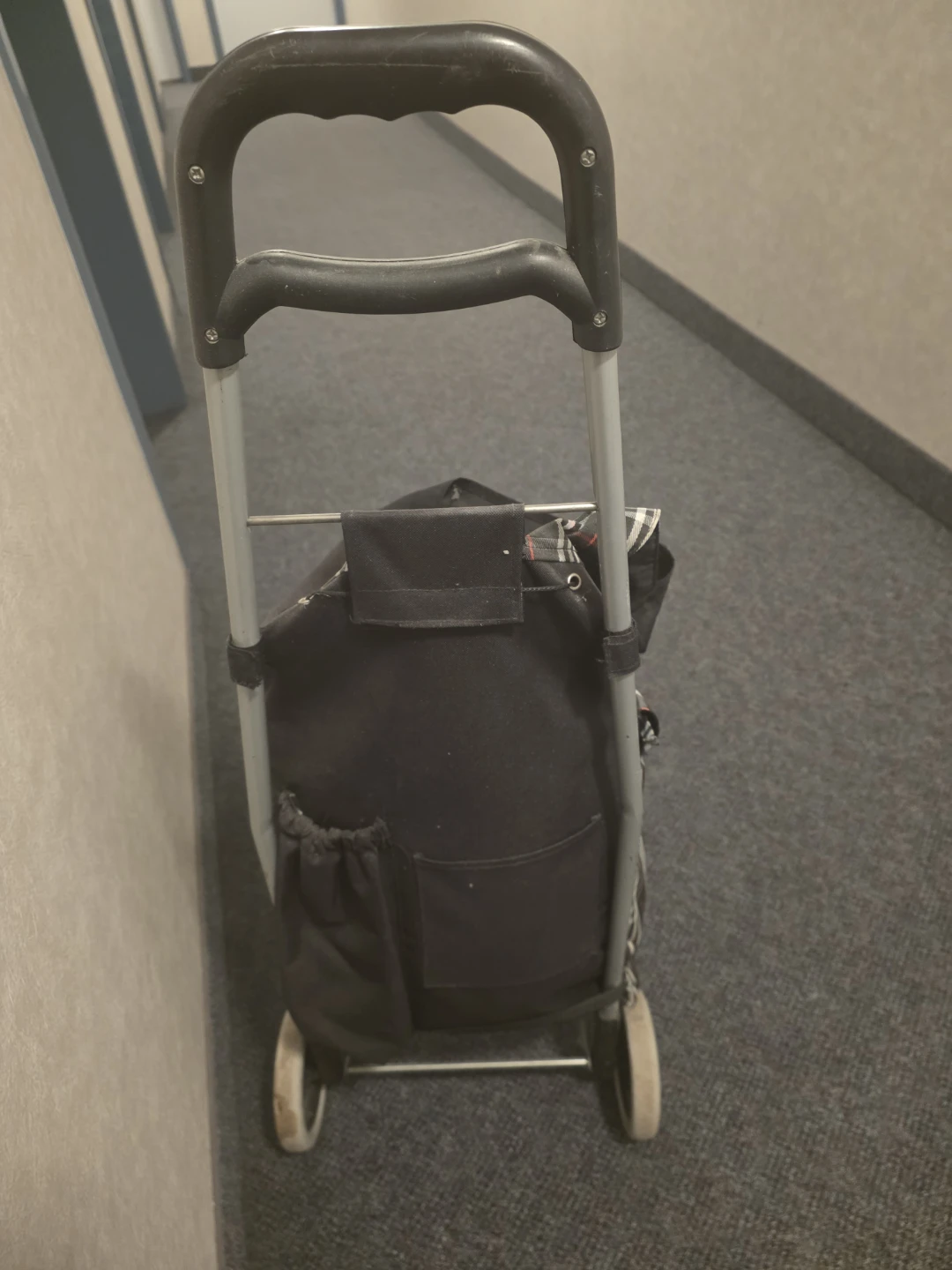 Shopping Cart with Wheels