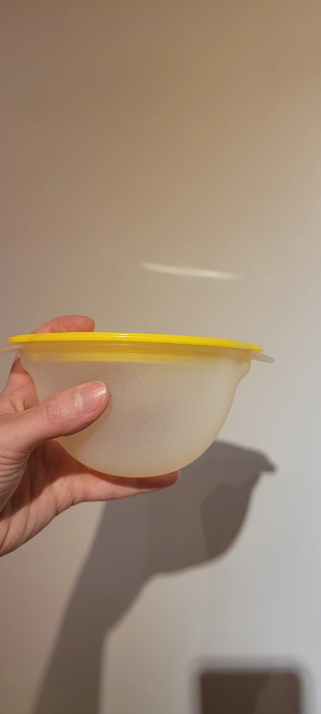 Lemon saver