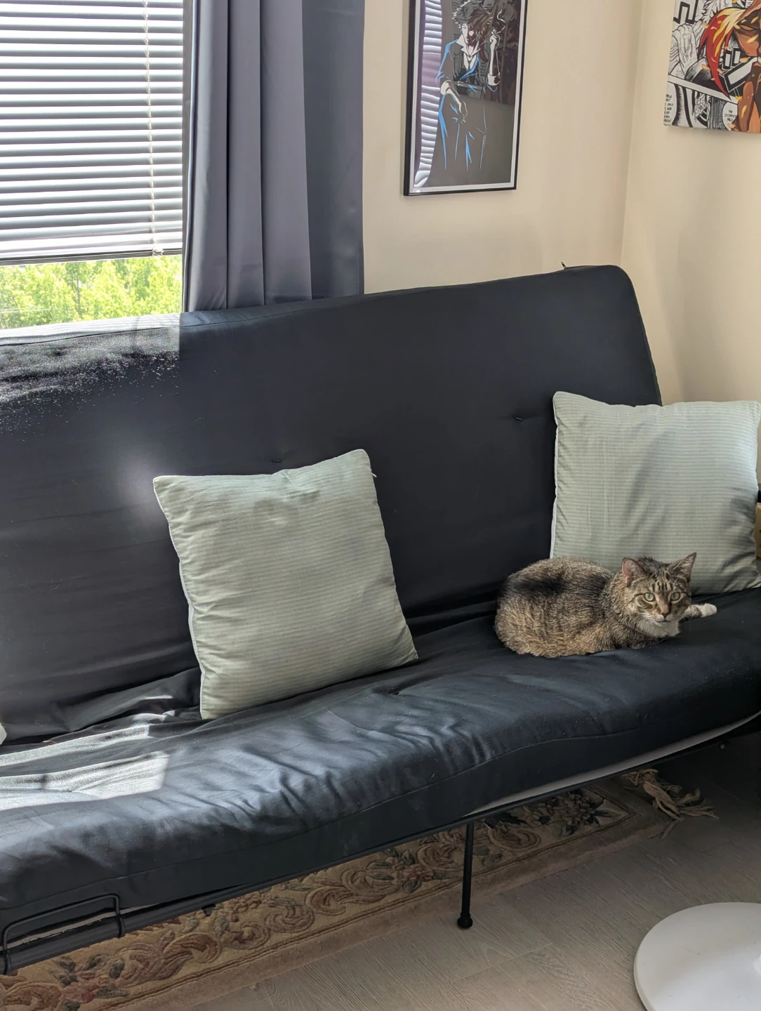 Black Futon Sofa Bed  w Pillows - photo 5