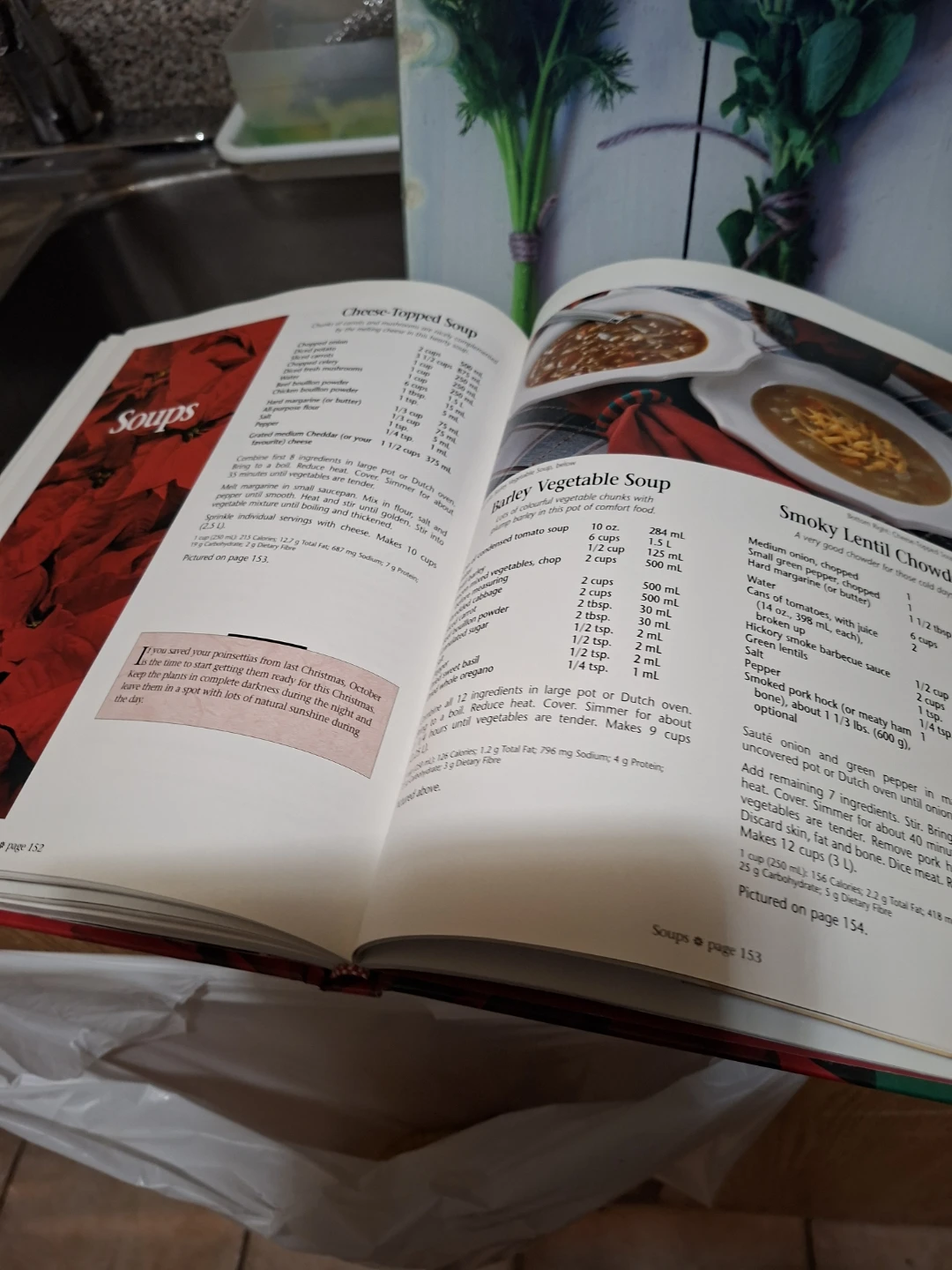 Company's Coming Home for the Holidays Cookbook - photo 4