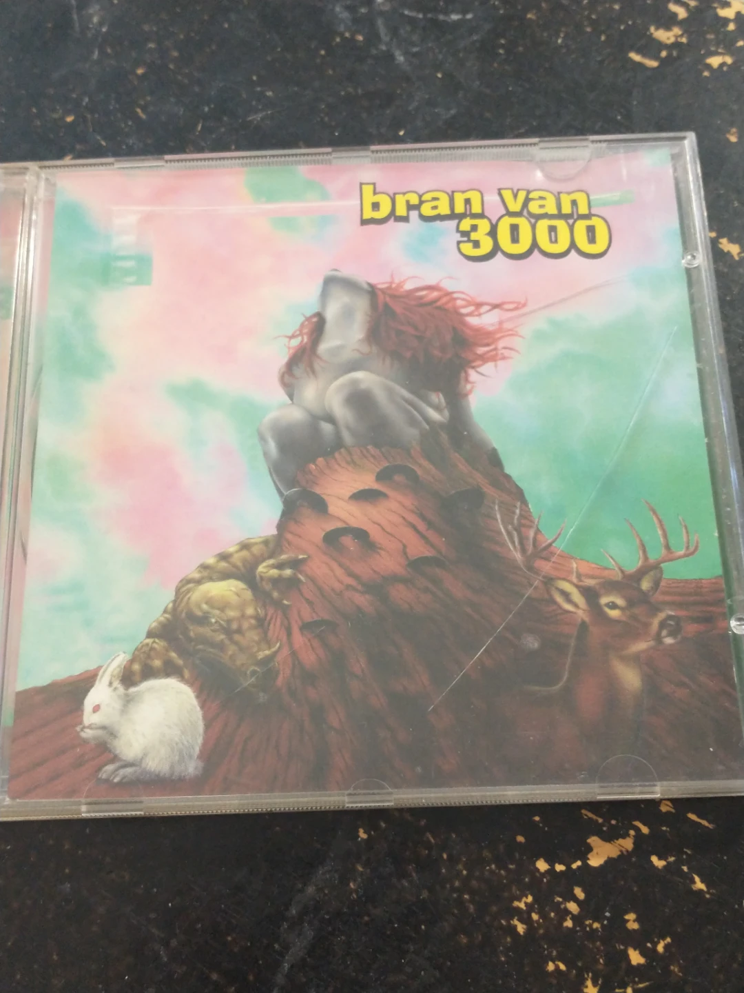 Bran Van 3000 "Gimme Sheldon" CD