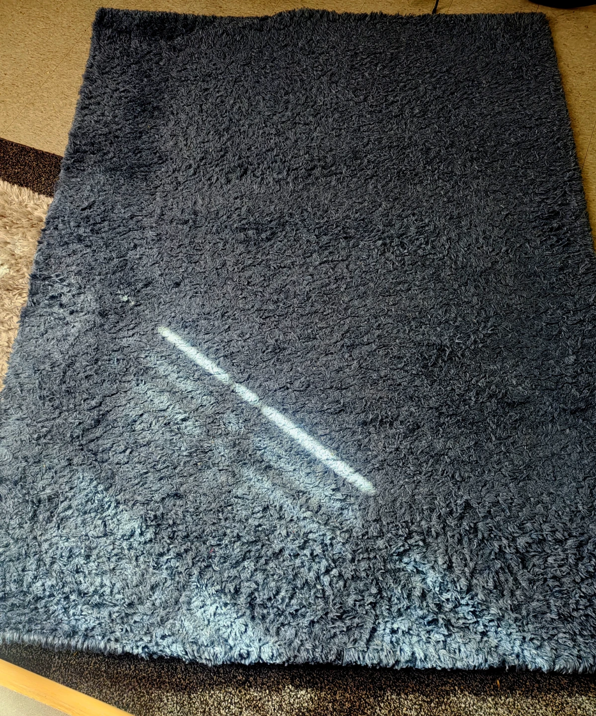 Blue Shag Rug