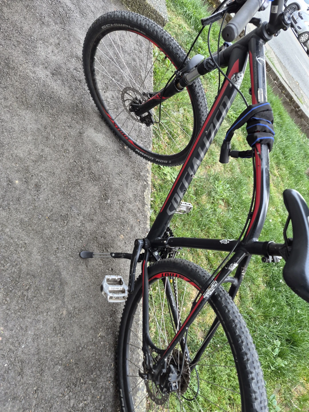 Specialized Rockhopper Mountain Bike