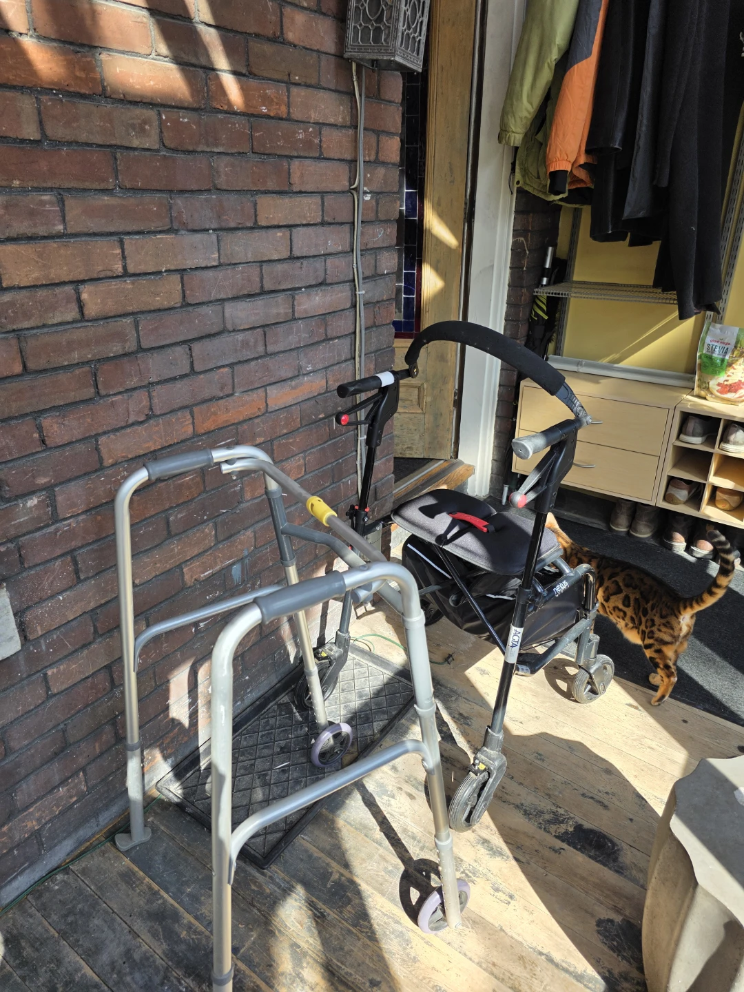 Mobility Walker and Rollator