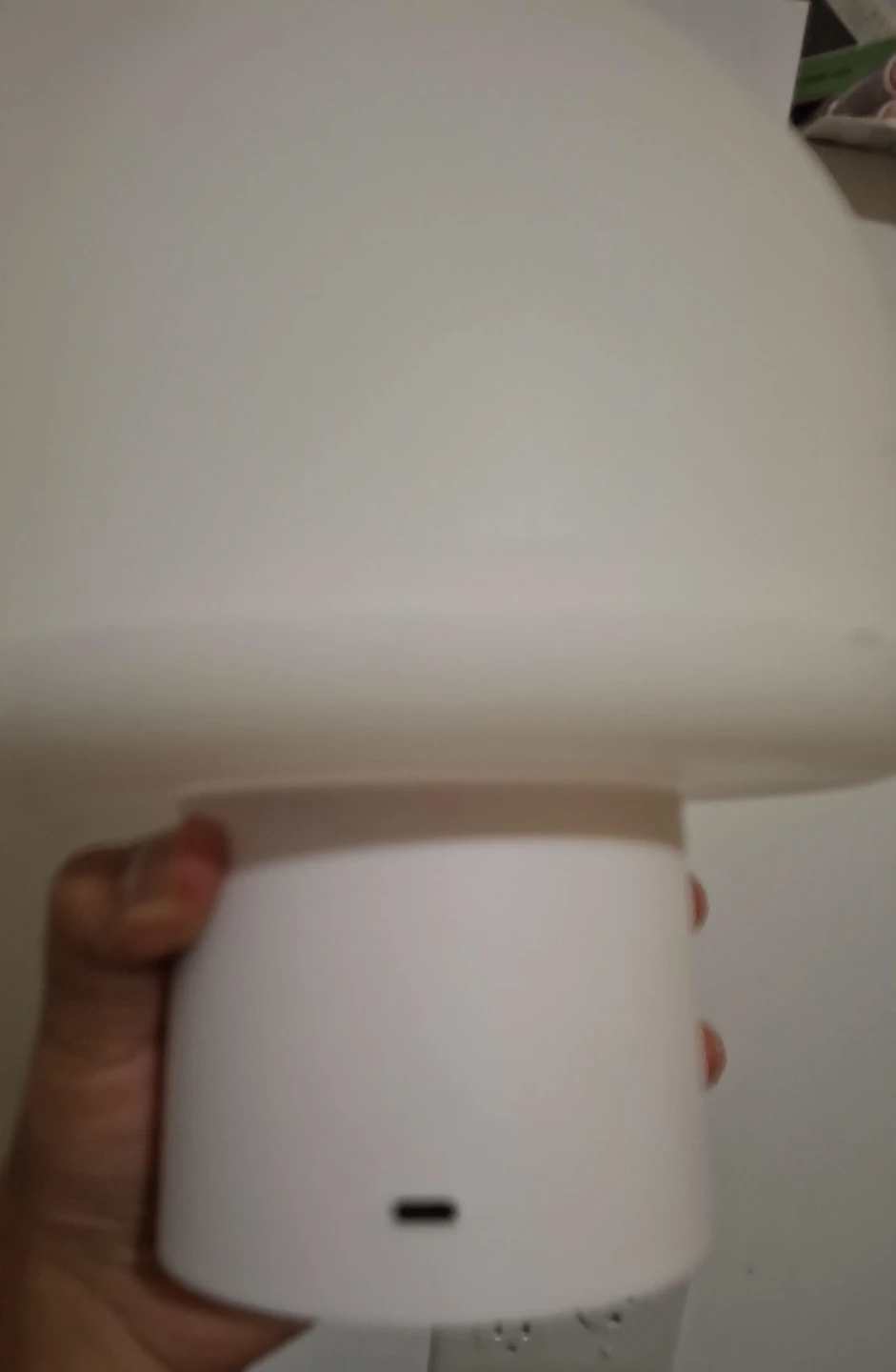 Mushroom Lamp