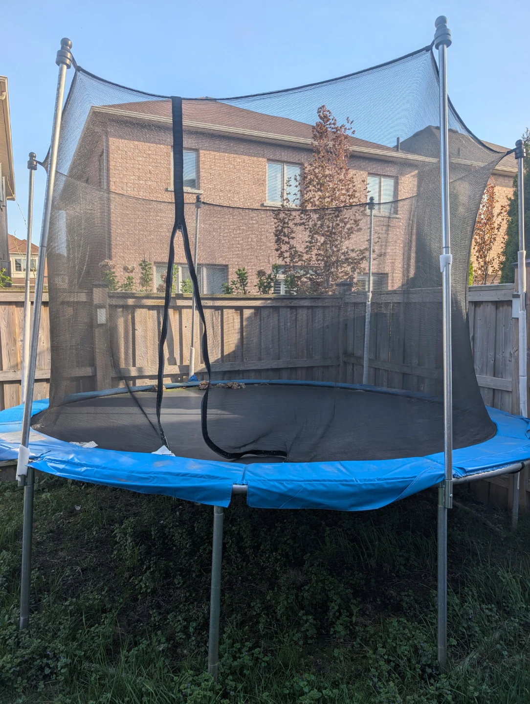 Trampoline - photo 2