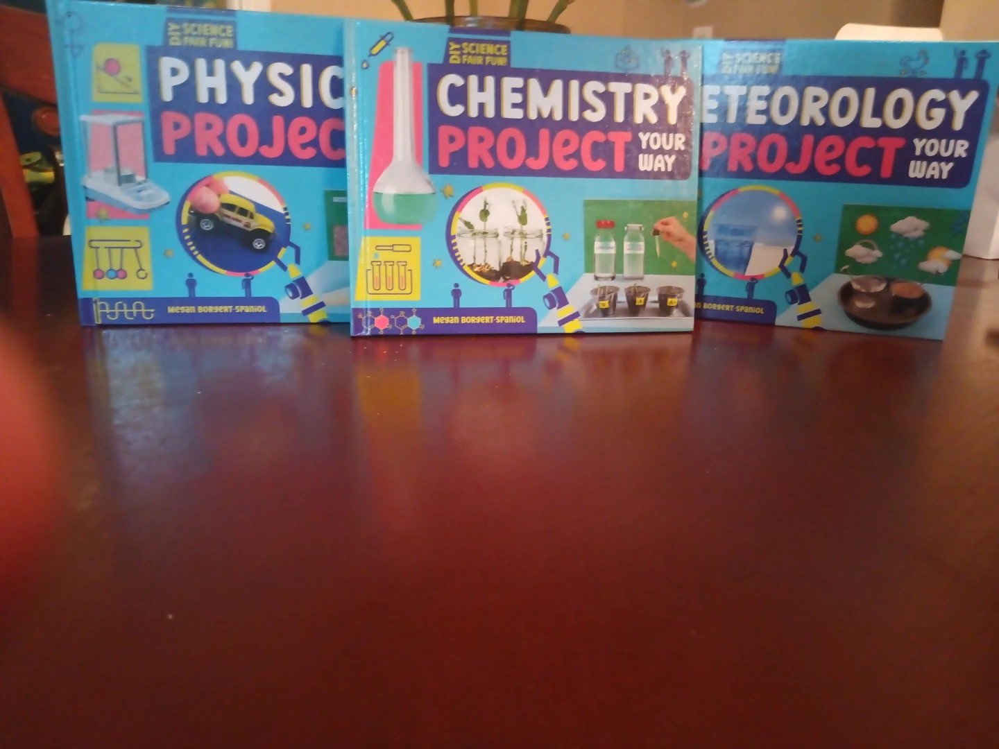 Science Fair Fun Project Books