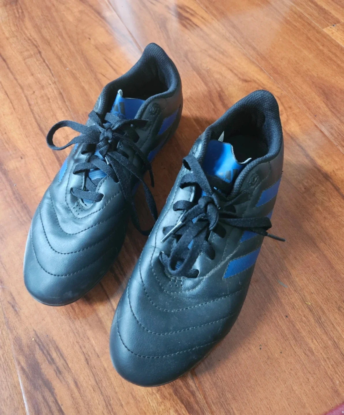 Adidas Soccer Cleats - Black/Blue