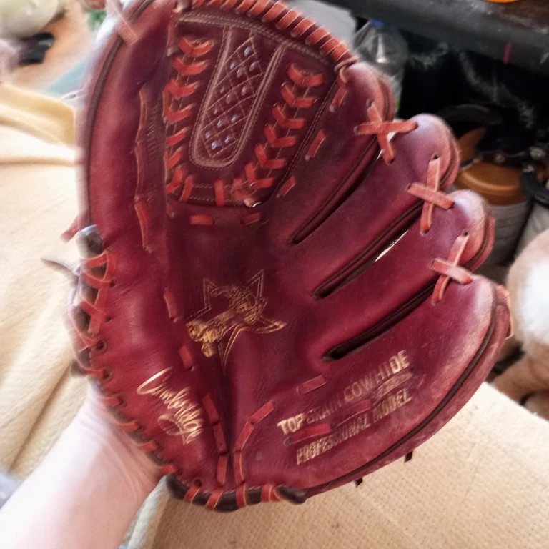 Cambridge "Professional Model" Baseball Glove - photo 2