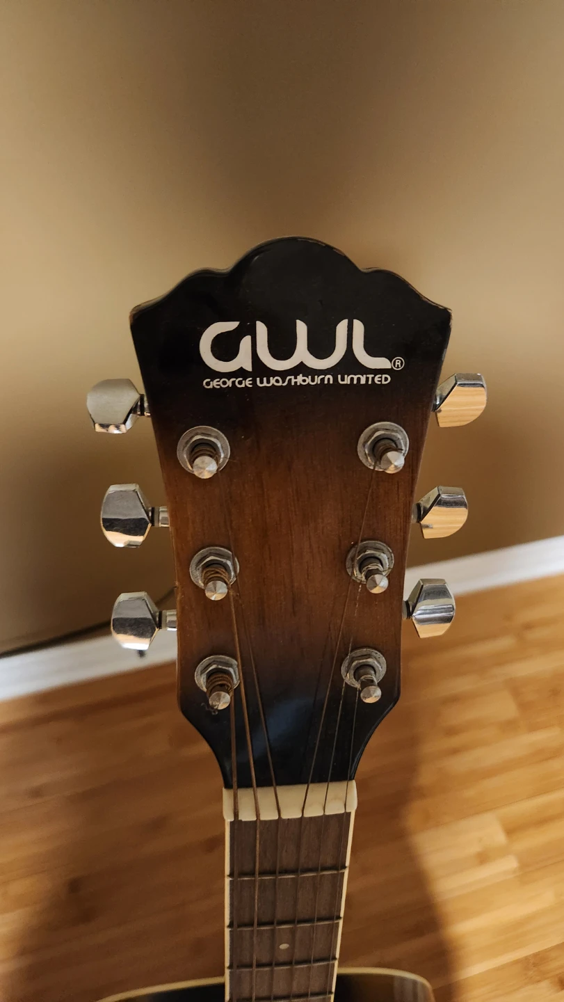 GWL Acoustic Guitar GWL45FTB3 - photo 2