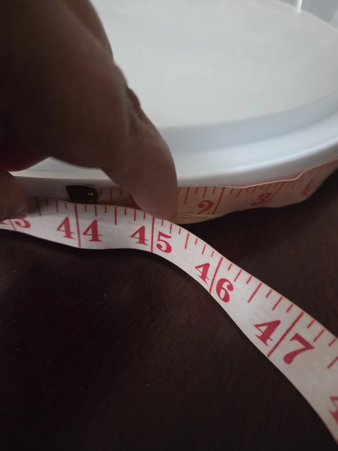 Plastic Cake / Pie Carrier with Lid - photo 4