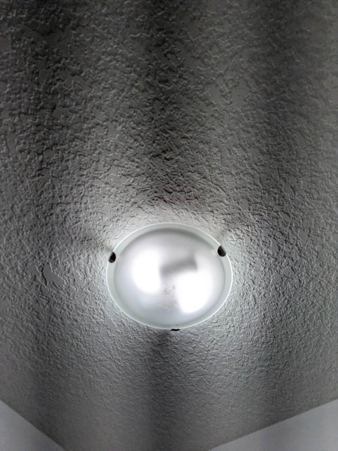 Flush Mount Ceiling Light Fixture - 2 Bulbs - photo 3