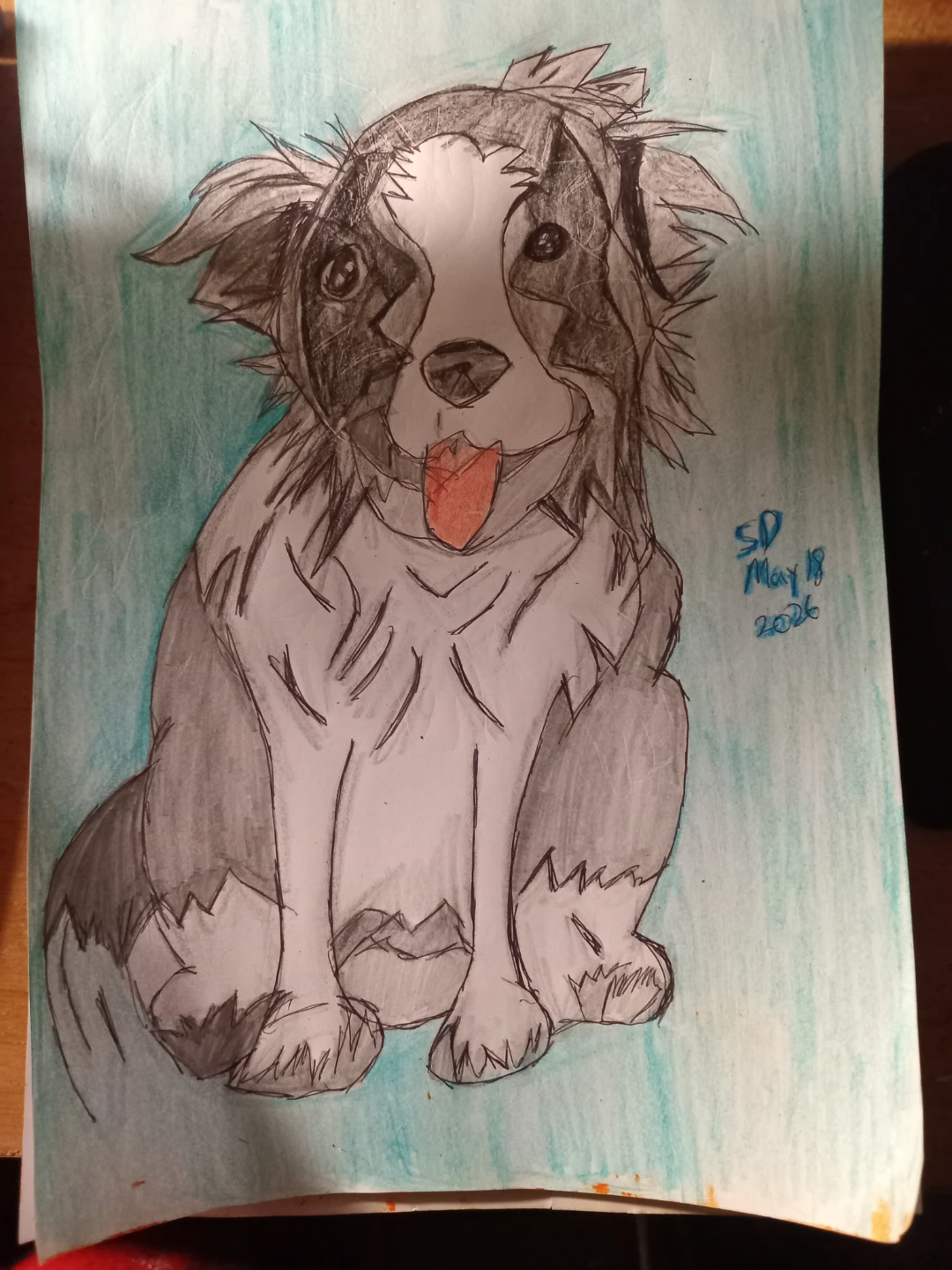 Grey, Black and White Dog Drawing by Custom Artist Sherwin