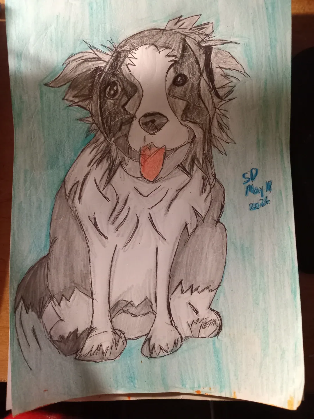 Grey, Black and White Dog Drawing by Custom Artist Sherwin