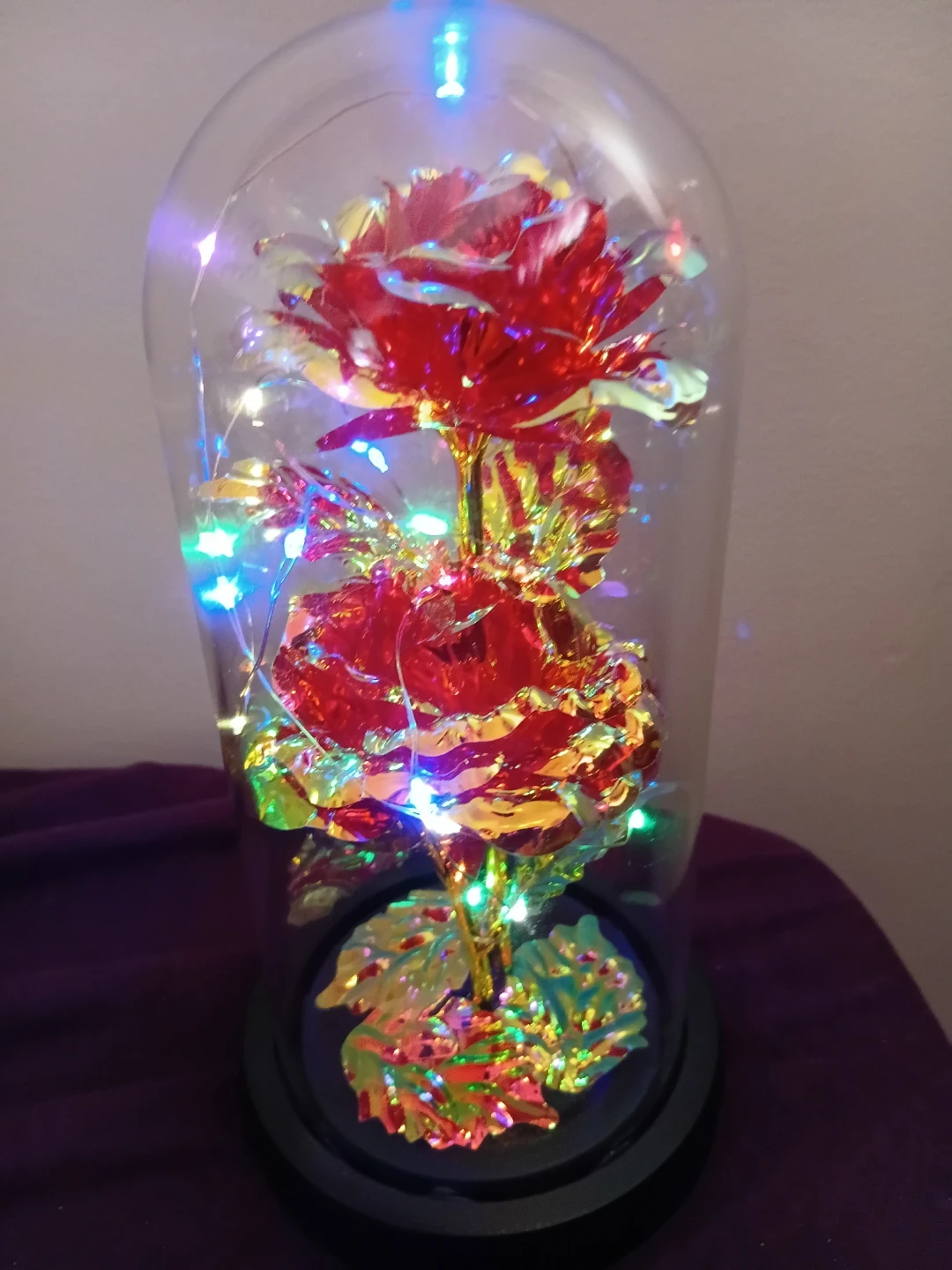 Enchanted Rose Dome with LED Lights