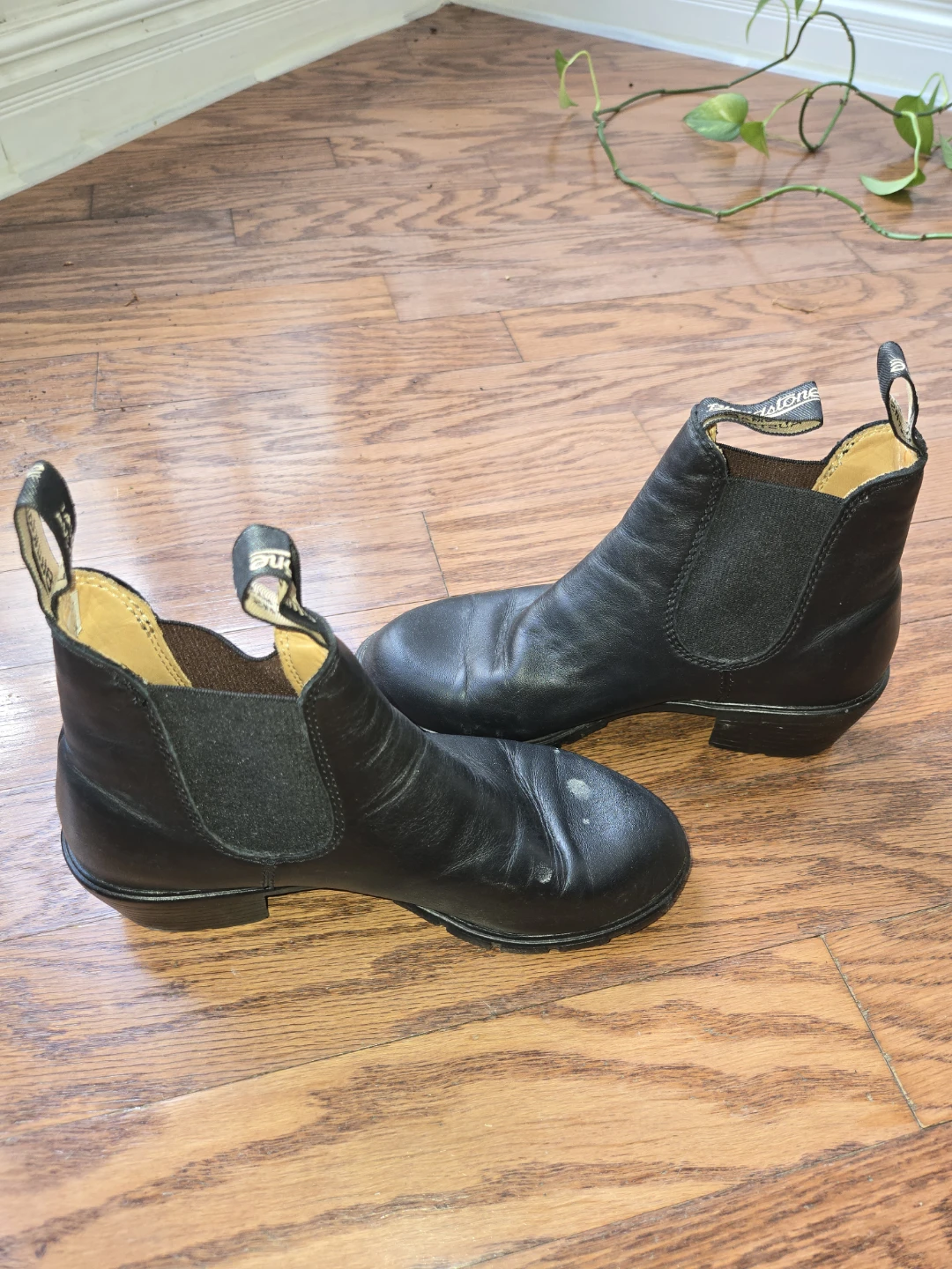 Blundstone Black Leather Chelsea Boots - photo 2