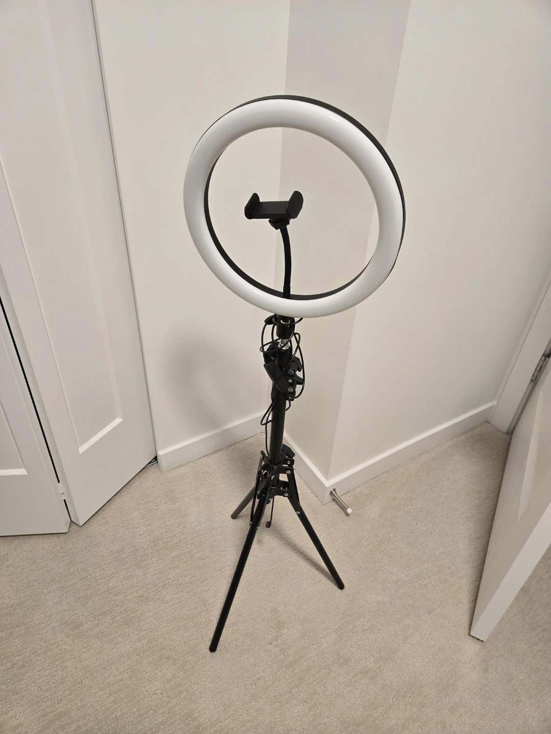 Ring Light with Tripod and Phone Holder