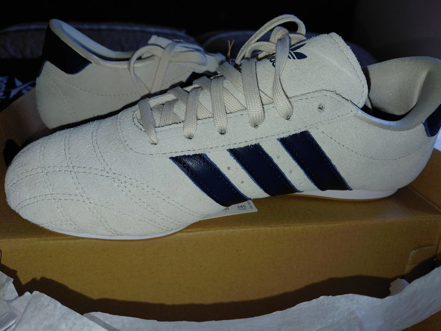 Adidas Taekwondo LA Shoes