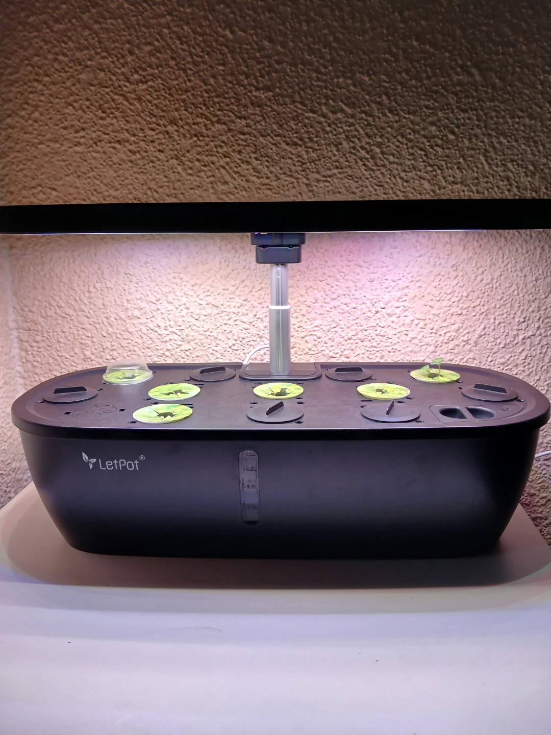 LetPot Smart Hydroponics Growing System LPH-Lite