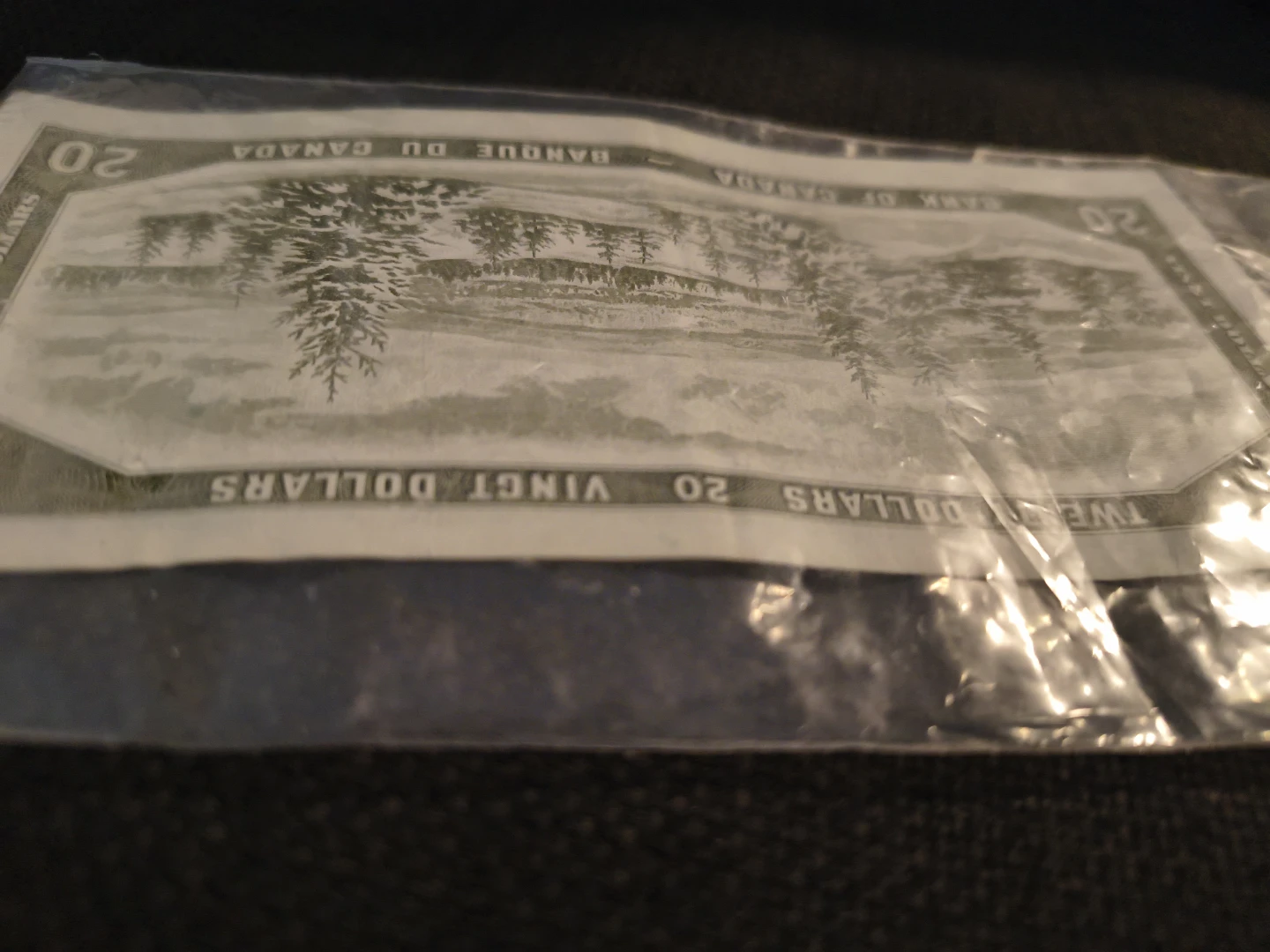 2 x 100 Dominican Pesos & 1 x 20 Canadian Dollars
