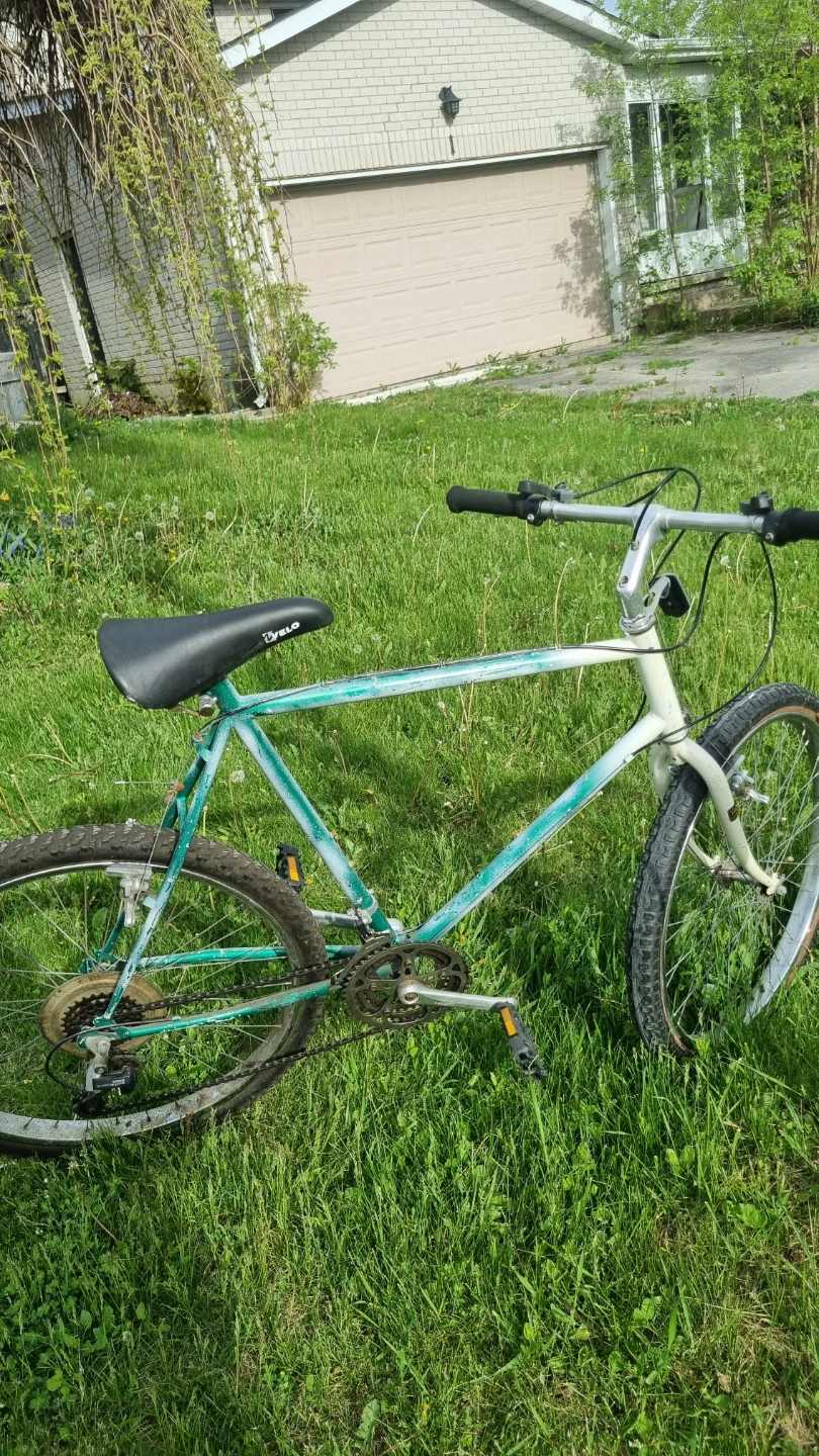Vintage Bicycle